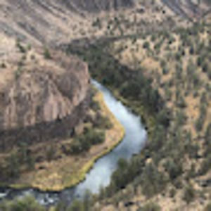 Meet your Posher, Mia